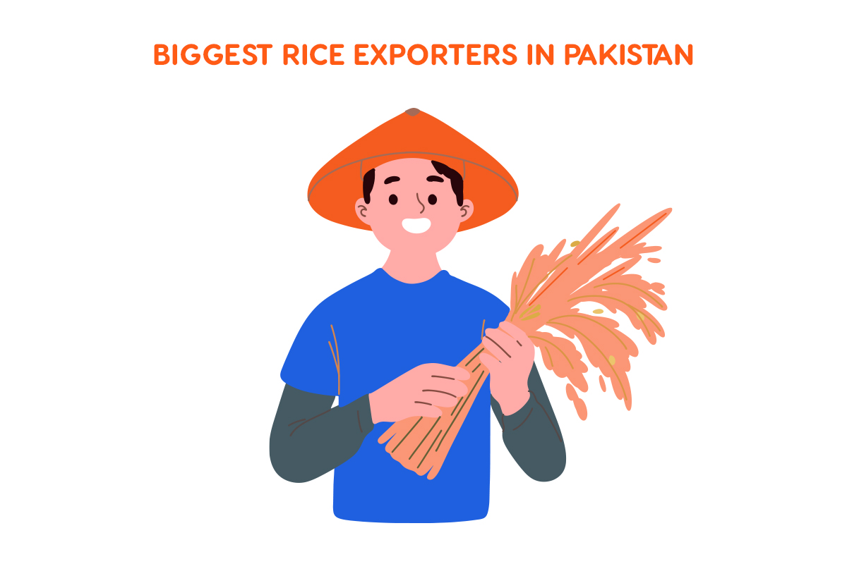 7 Biggest Rice Exporters in Pakistan