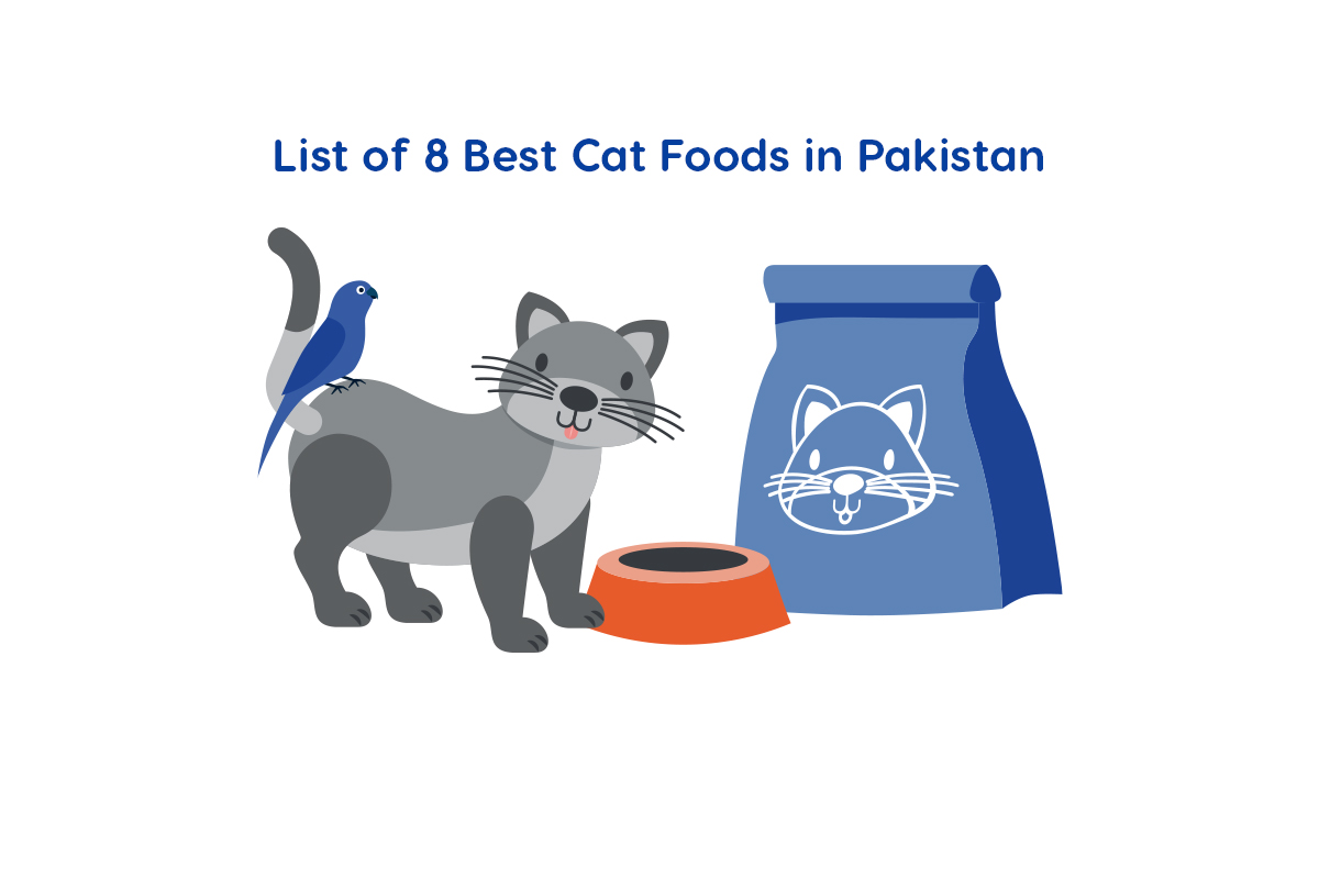 List of 8 Best Cat Foods in Pakistan