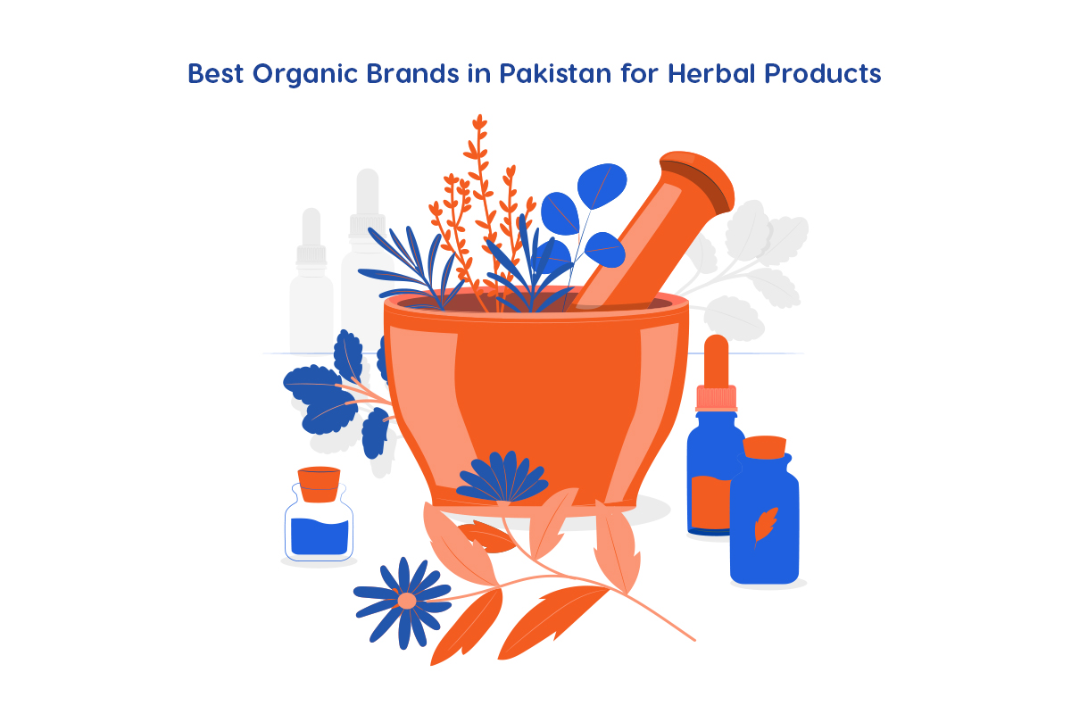 Top 6 Milk Brands in Pakistan | Best Milk Producers