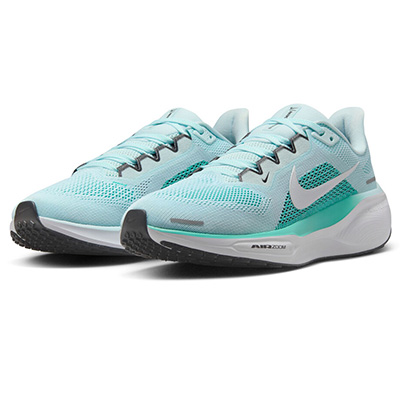 Nike Air Zoom Pegasus 41