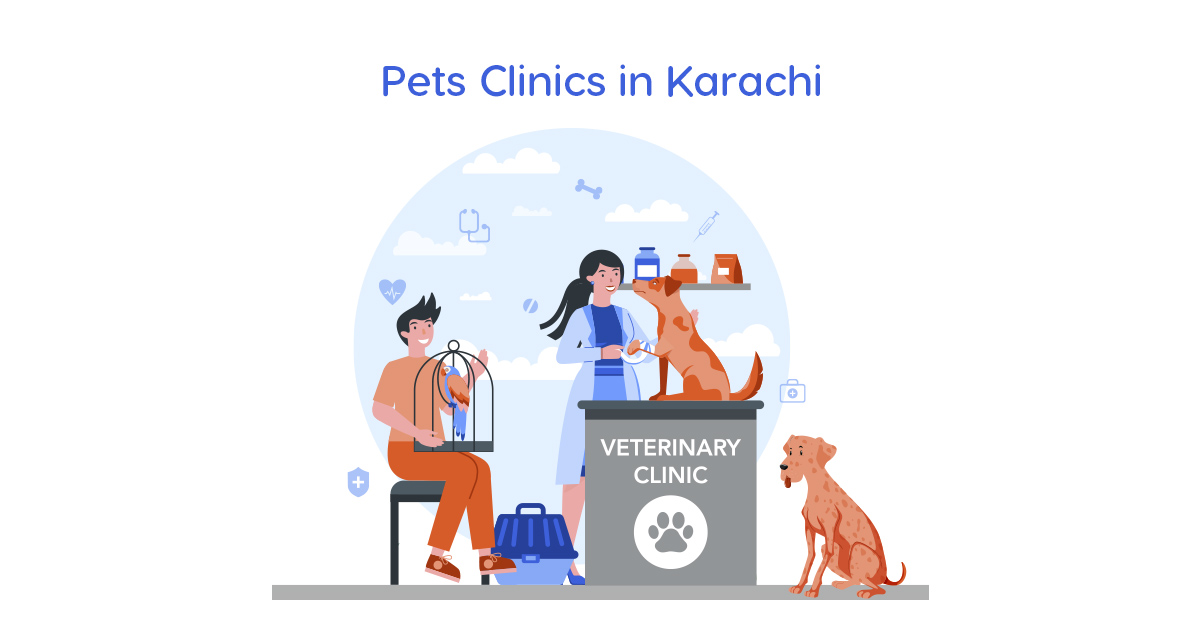 Top 6 Pet Clinics in Karachi