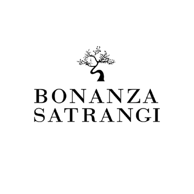 Bonanza Satrangi logo